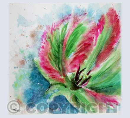 Parrot Tulip