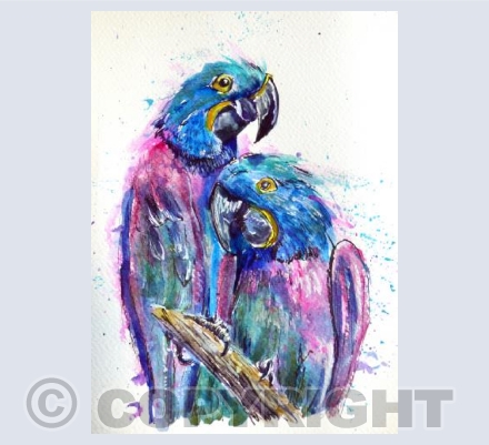 Parrots 