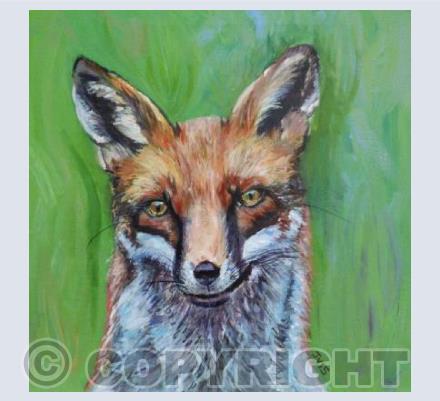 Friendly Fox
