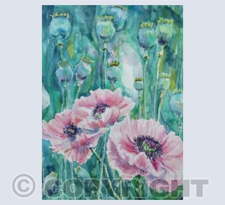 Pink poppies 