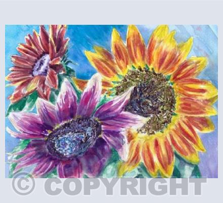 Sunflowers