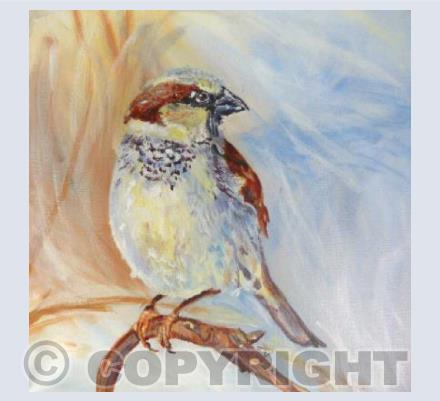 Sparrow