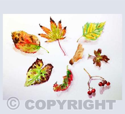 Autumn Bounty