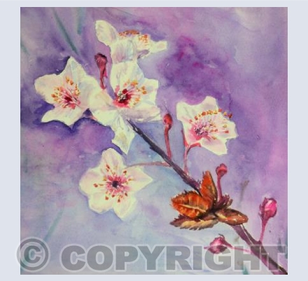 Blossom