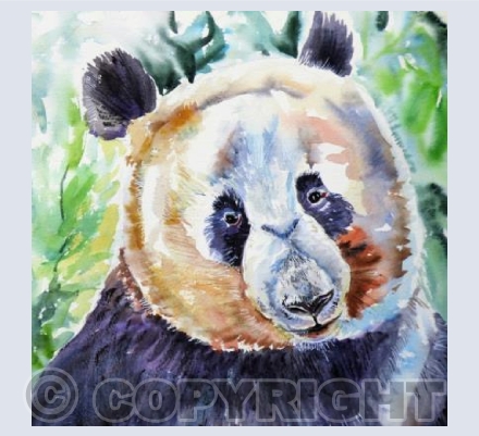 Panda