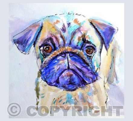 Pug Dog