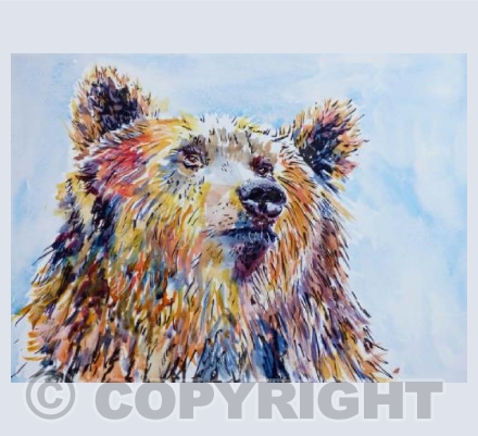 Bear