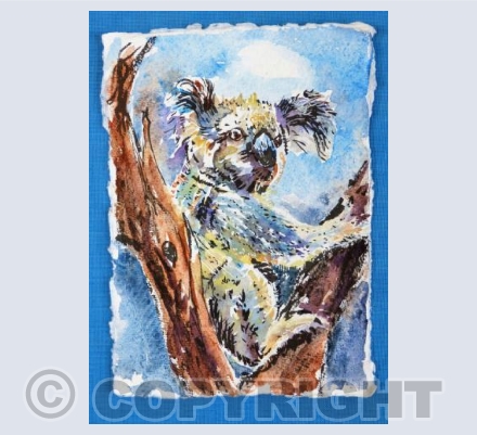 Koala