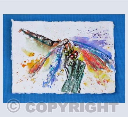 Dragonfly 2