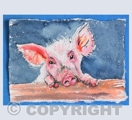 Pig 2