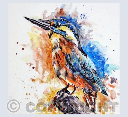 Kingfisher
