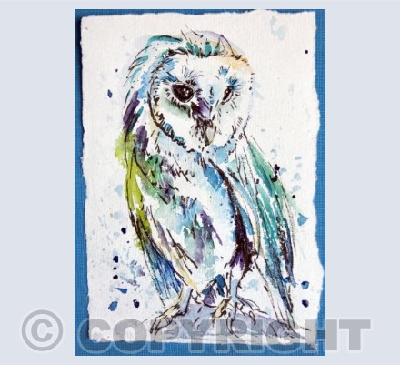 Barn owl 2