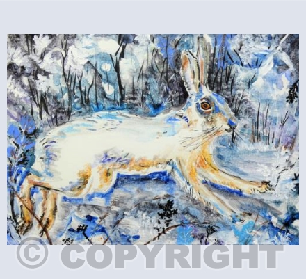 Winter Hare
