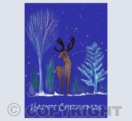 Winter Stag