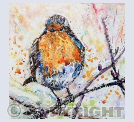 Robin 2