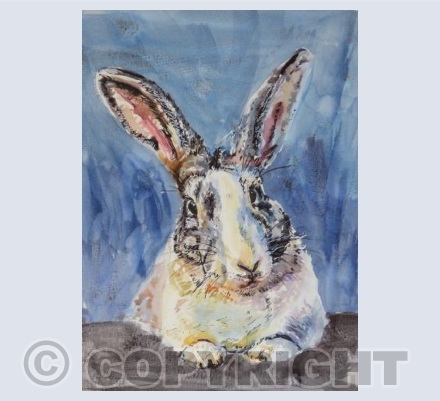 Bunny 2