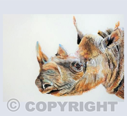 Rhino