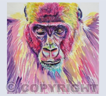 Gorilla