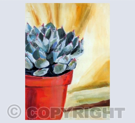 Succulent