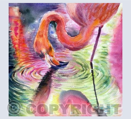 Flamingo pond