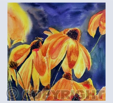 Cone flowers
