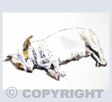 Let sleeping dogs lie
