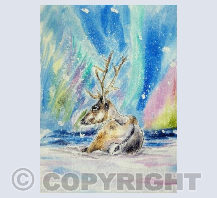Northern Lights