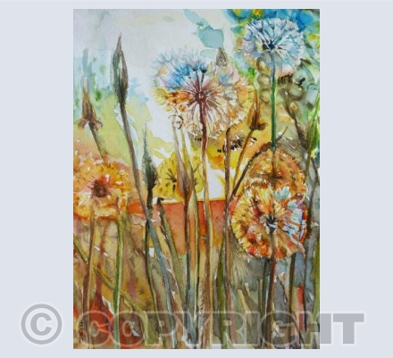 Dandelion dawn