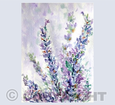 Lavender Mist