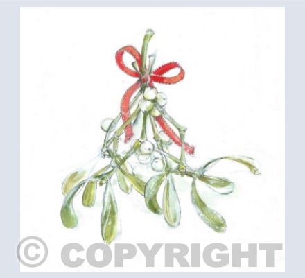 Mistletoe with red ribbon