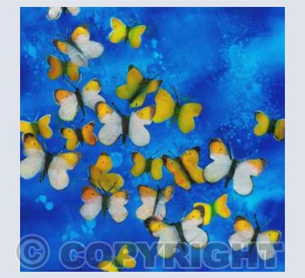 Orange Tip Butterflies on Blue