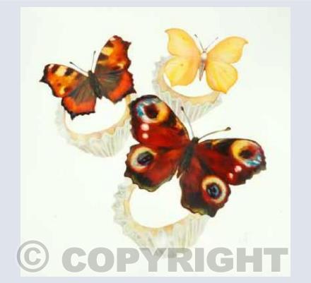 Butterfly Cakes
