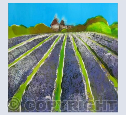 Local Lavender