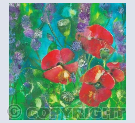 Poppies in the Lavender Field