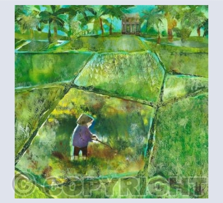 Patchwork Paddyfield