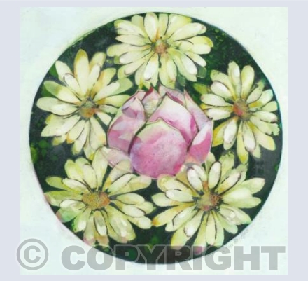 Lotus Flower and Daisies