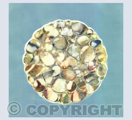 Pebbles in a Circle