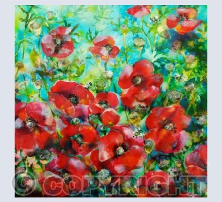 Poppy Patch