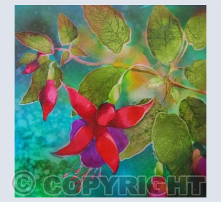 Fuchsia