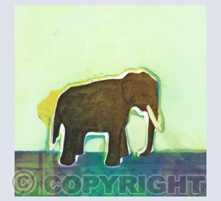White Elephant