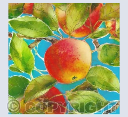 Apples (in Kent)