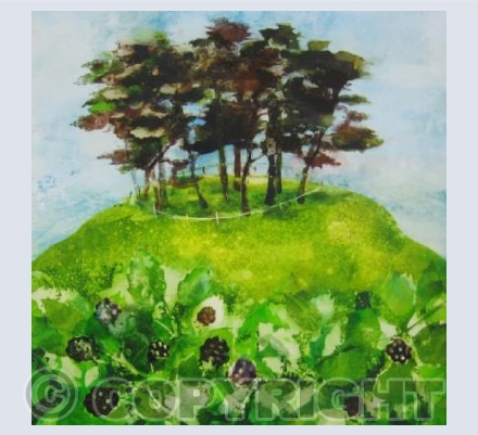 Picking Blackberries