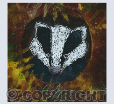 Baby Badger