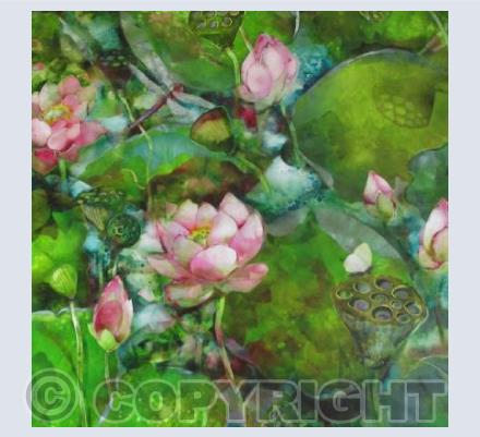 Lotus Pond