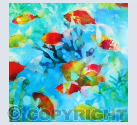 The Aquarium