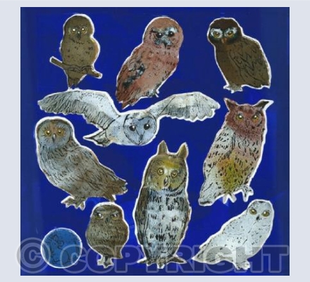 Owls (on blue)