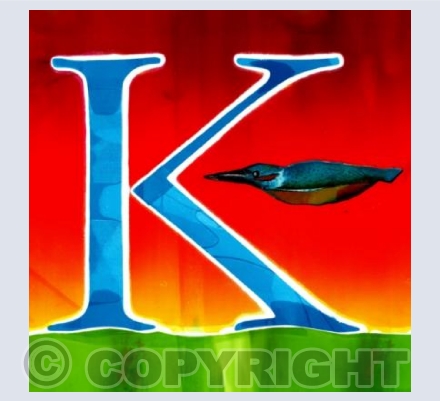 Kingfisher (sunset)