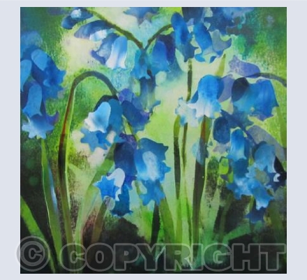 Sunlight and Bluebells
