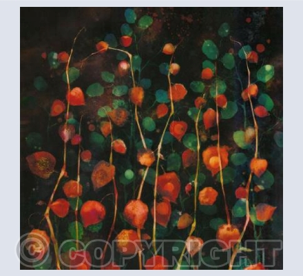 Chinese Lanterns