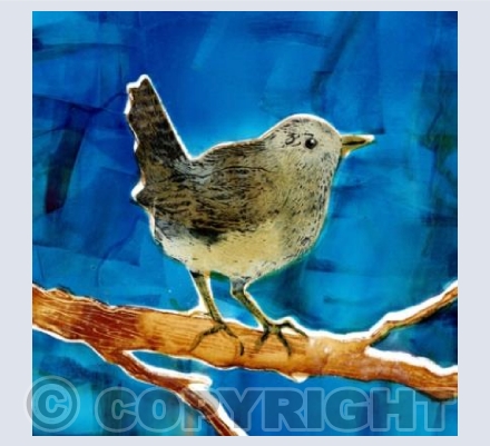 Wren (in winter)